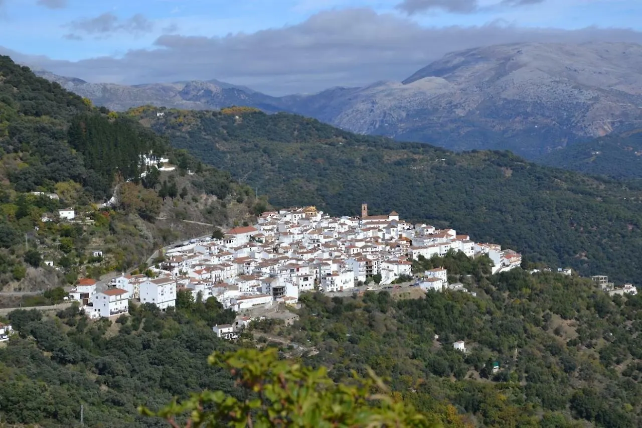 El Patio Dona Julia Apartment Casares